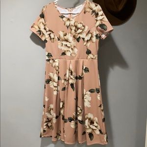 Pink and beige Dress